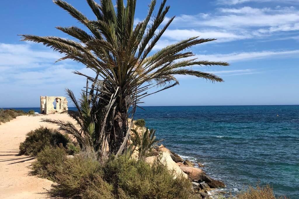 Oasis Beach Dream Holiday Guardamar del Segura Dış mekan fotoğraf